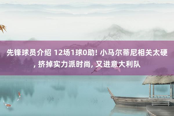 先锋球员介绍 12场1球0助! 小马尔蒂尼相关太硬, 挤掉实力派时尚, 又进意大利队