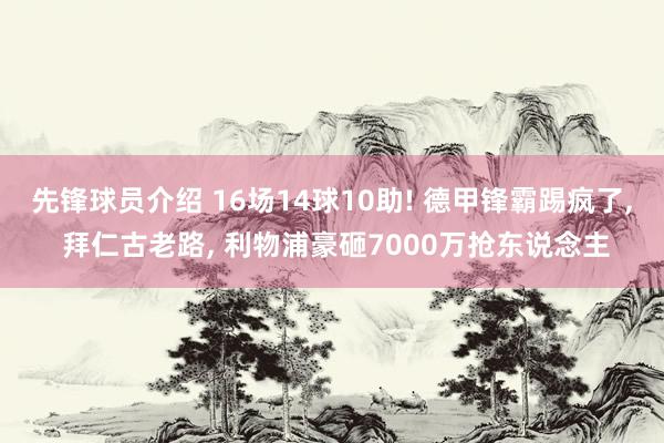 先锋球员介绍 16场14球10助! 德甲锋霸踢疯了, 拜仁古老路, 利物浦豪砸7000万抢东说念主