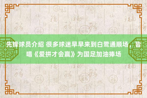 先锋球员介绍 很多球迷早早来到白鹭通顺场，皆唱《爱拼才会赢》为国足加油捧场