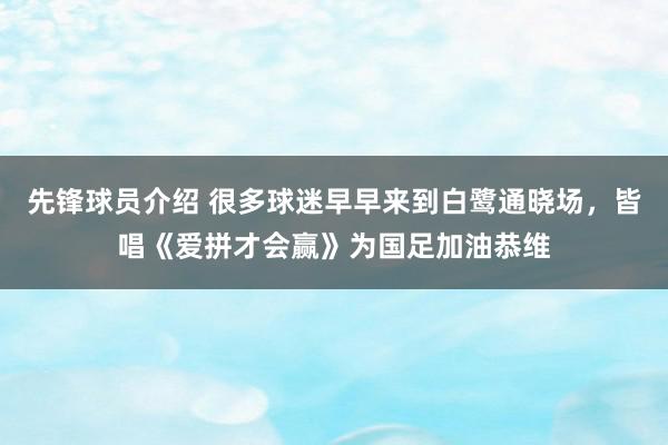 先锋球员介绍 很多球迷早早来到白鹭通晓场，皆唱《爱拼才会赢》为国足加油恭维