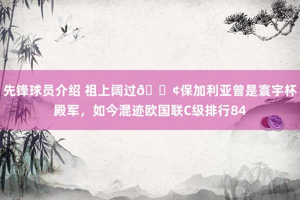 先锋球员介绍 祖上阔过😢保加利亚曾是寰宇杯殿军，如今混迹欧国联C级排行84