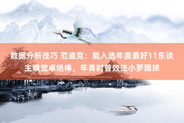 数据分析技巧 范迪克：能入选年度最好11东谈主嗅觉卓绝棒，年青时曾效法小罗踢球