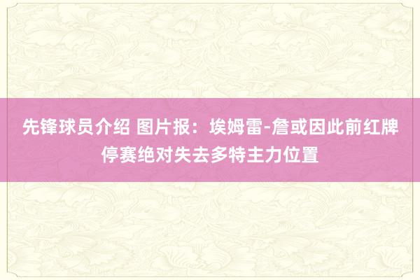 先锋球员介绍 图片报：埃姆雷-詹或因此前红牌停赛绝对失去多特主力位置