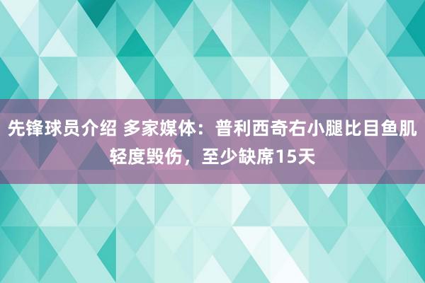 先锋球员介绍 多家媒体：普利西奇右小腿比目鱼肌轻度毁伤，至少缺席15天