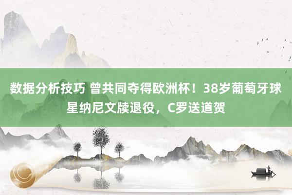 数据分析技巧 曾共同夺得欧洲杯！38岁葡萄牙球星纳尼文牍退役，C罗送道贺