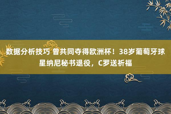 数据分析技巧 曾共同夺得欧洲杯！38岁葡萄牙球星纳尼秘书退役，C罗送祈福