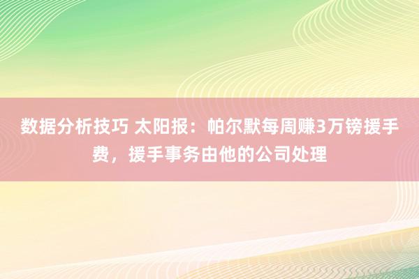 数据分析技巧 太阳报：帕尔默每周赚3万镑援手费，援手事务由他的公司处理