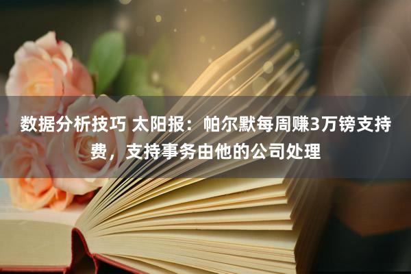 数据分析技巧 太阳报：帕尔默每周赚3万镑支持费，支持事务由他的公司处理