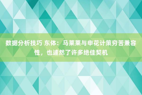 数据分析技巧 东体：马莱莱与申花计策穷苦兼容性，也遽然了许多绝佳契机