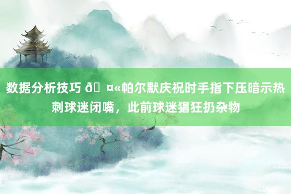 数据分析技巧 🤫帕尔默庆祝时手指下压暗示热刺球迷闭嘴，此前球迷猖狂扔杂物