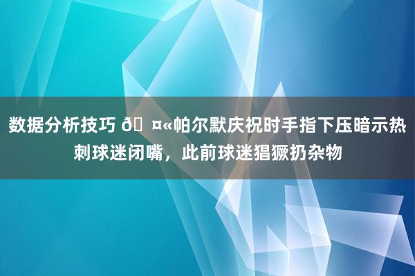 数据分析技巧 🤫帕尔默庆祝时手指下压暗示热刺球迷闭嘴，此前球迷猖獗扔杂物