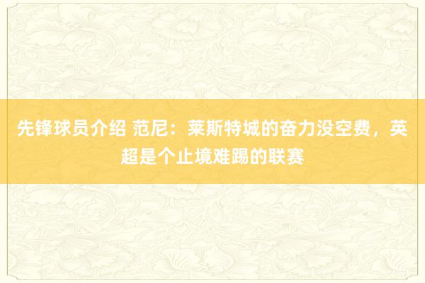 先锋球员介绍 范尼：莱斯特城的奋力没空费，英超是个止境难踢的联赛