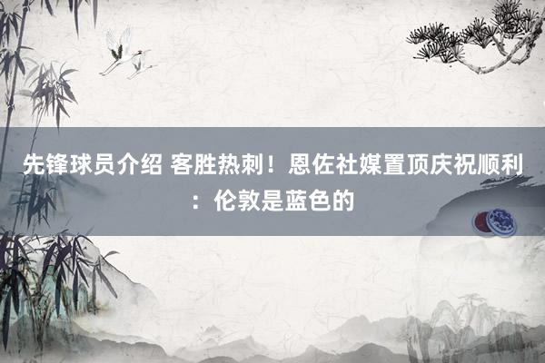 先锋球员介绍 客胜热刺！恩佐社媒置顶庆祝顺利：伦敦是蓝色的