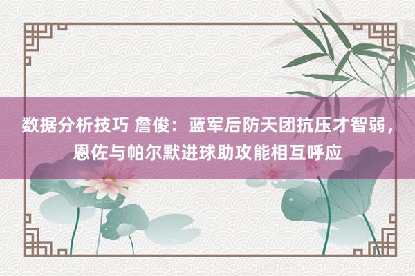 数据分析技巧 詹俊：蓝军后防天团抗压才智弱，恩佐与帕尔默进球助攻能相互呼应