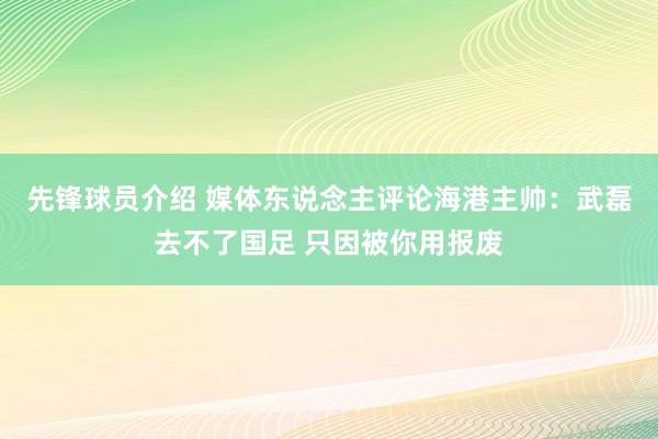 先锋球员介绍 媒体东说念主评论海港主帅：武磊去不了国足 只因被你用报废