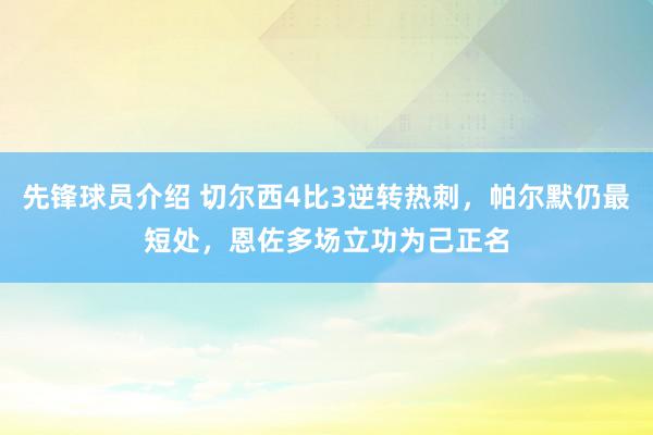 先锋球员介绍 切尔西4比3逆转热刺，帕尔默仍最短处，恩佐多场立功为己正名